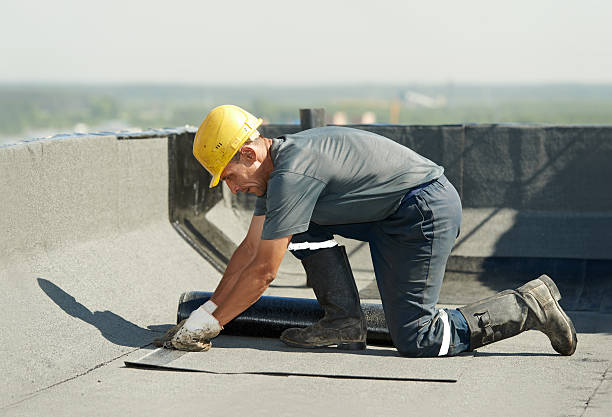 Best Cellulose Insulation in Harwood Heights, IL