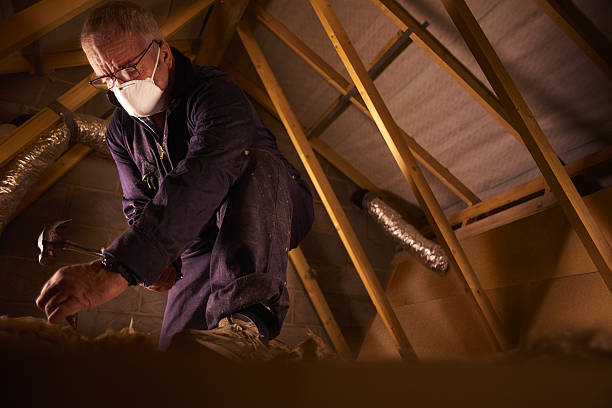 Best Specialized Insulation Services in Harwood Heights, IL