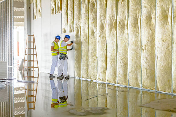 Best Insulation Maintenance and Repair in Harwood Heights, IL